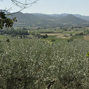 ** Maison d'hôtes Soleil Et Ombre France